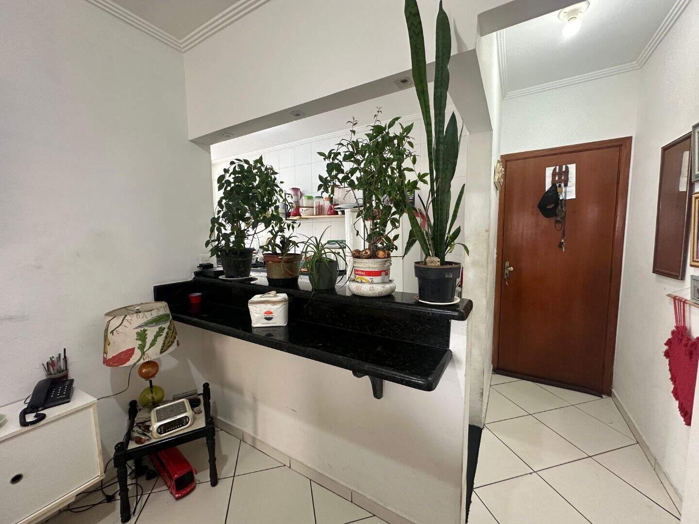 Apartamento à venda no Guilhermina: 