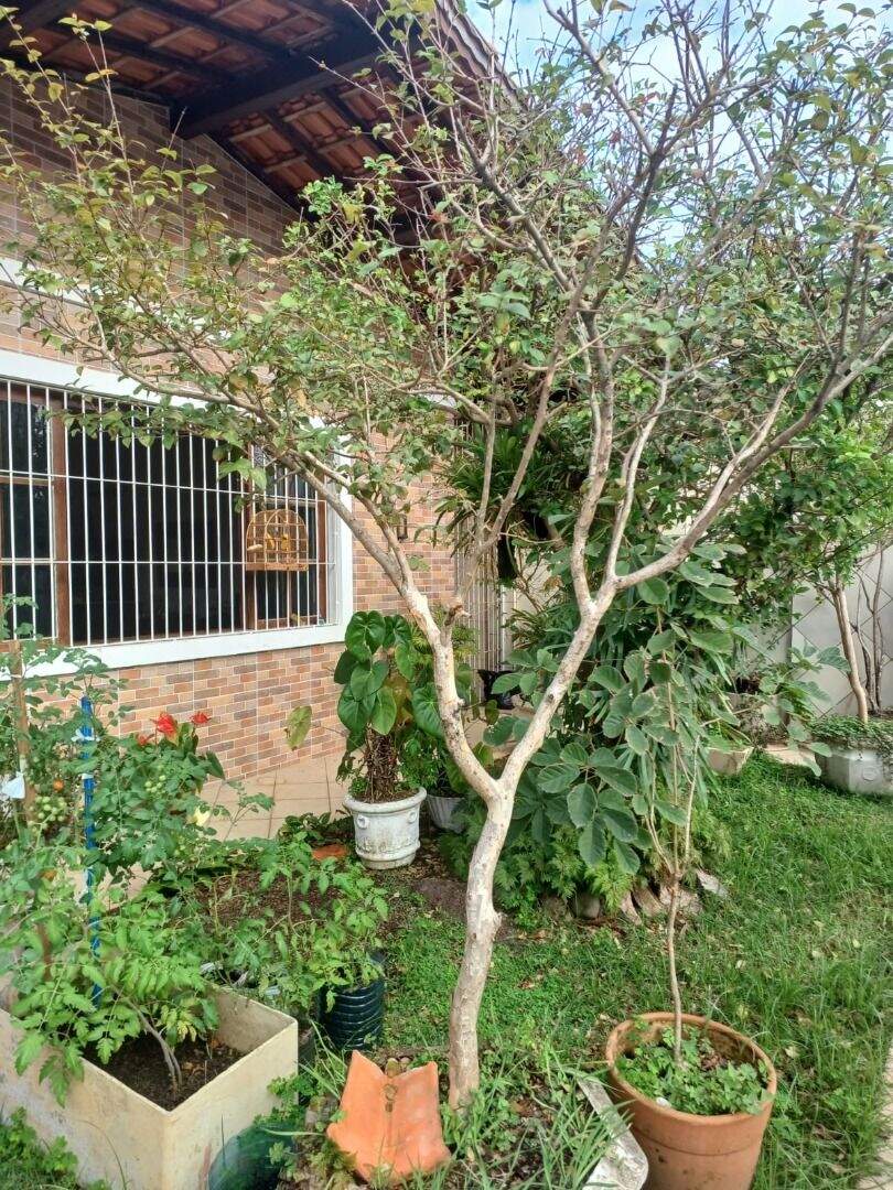 Casa à venda no Maracanã: 