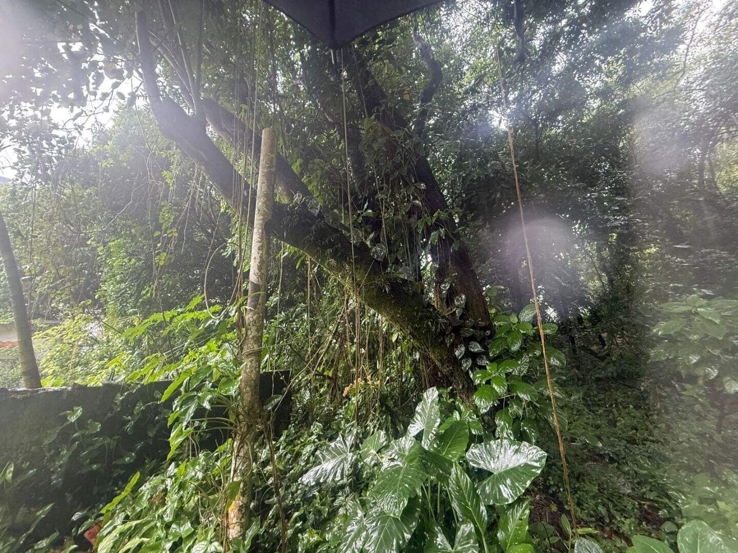 Terreno à venda no Canto do Forte: 