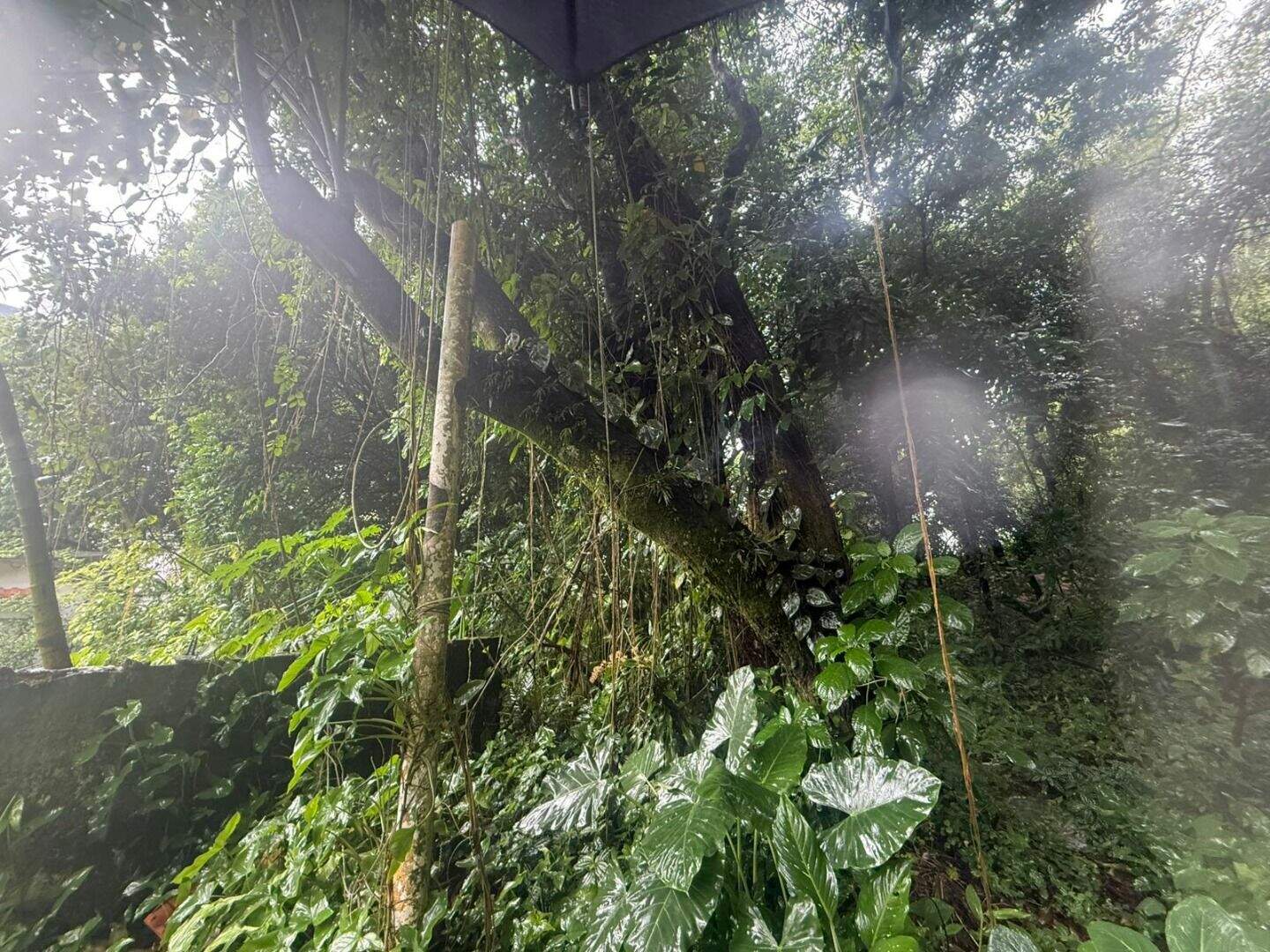 Terreno à venda no Canto do Forte: 
