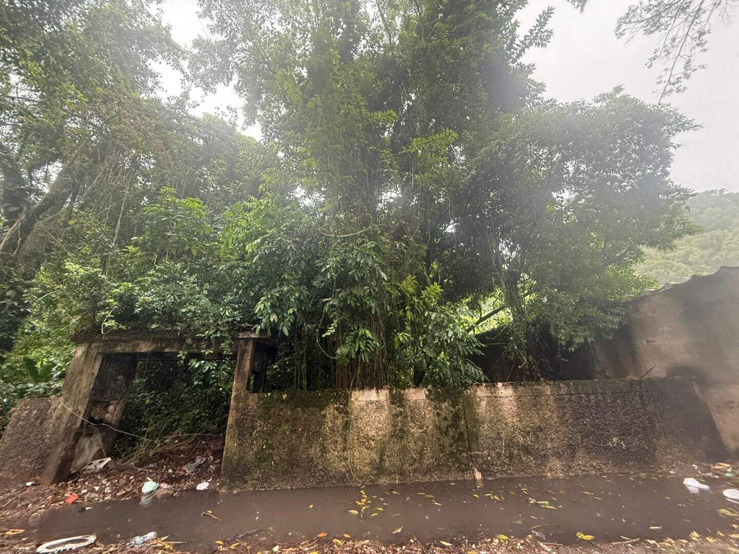 Terreno à venda no Canto do Forte: 