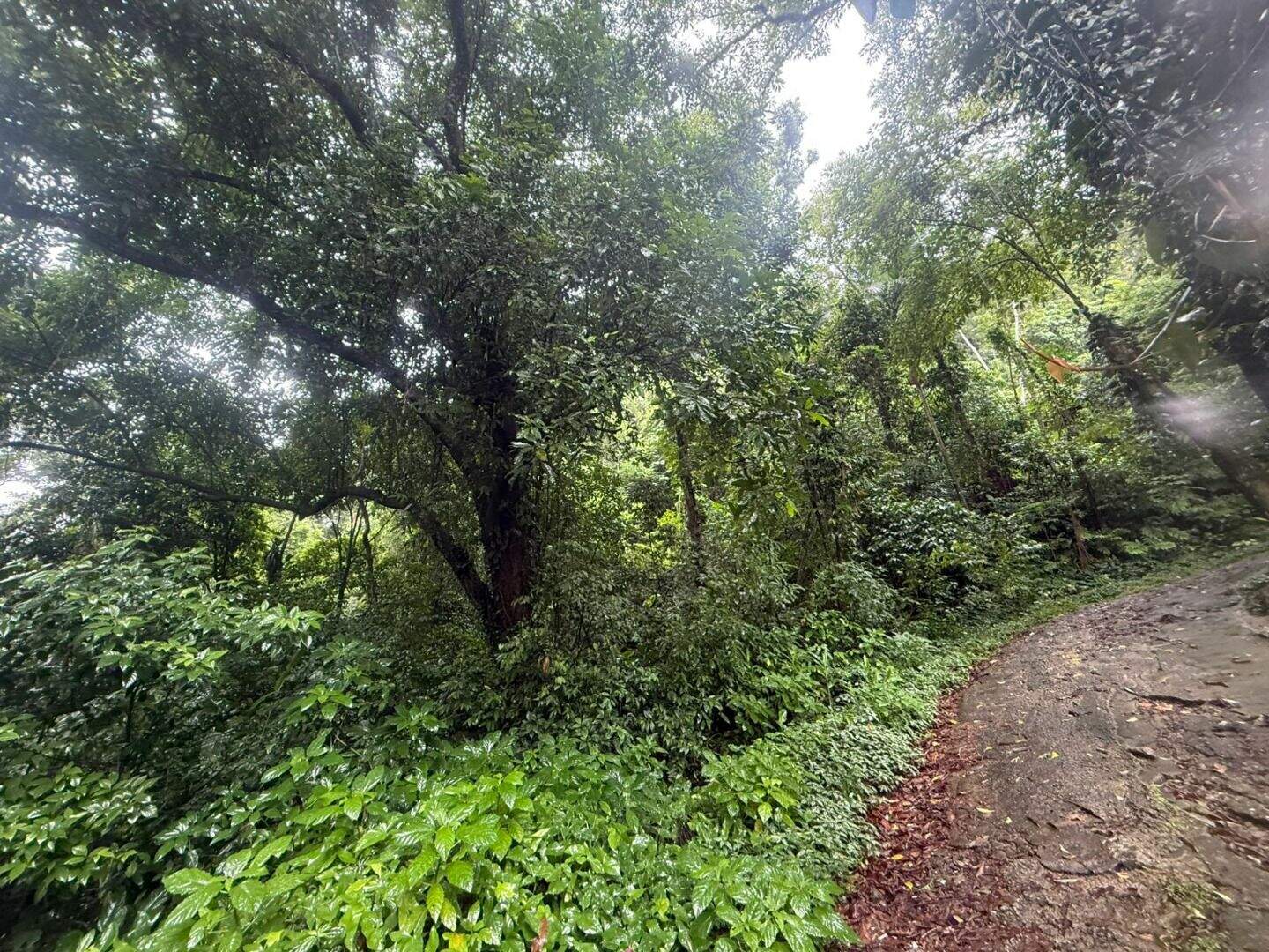 Terreno à venda no Canto do Forte: 