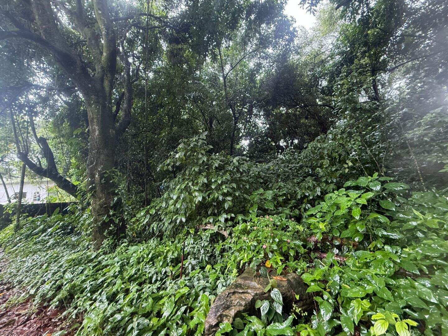 Terreno à venda no Canto do Forte: 