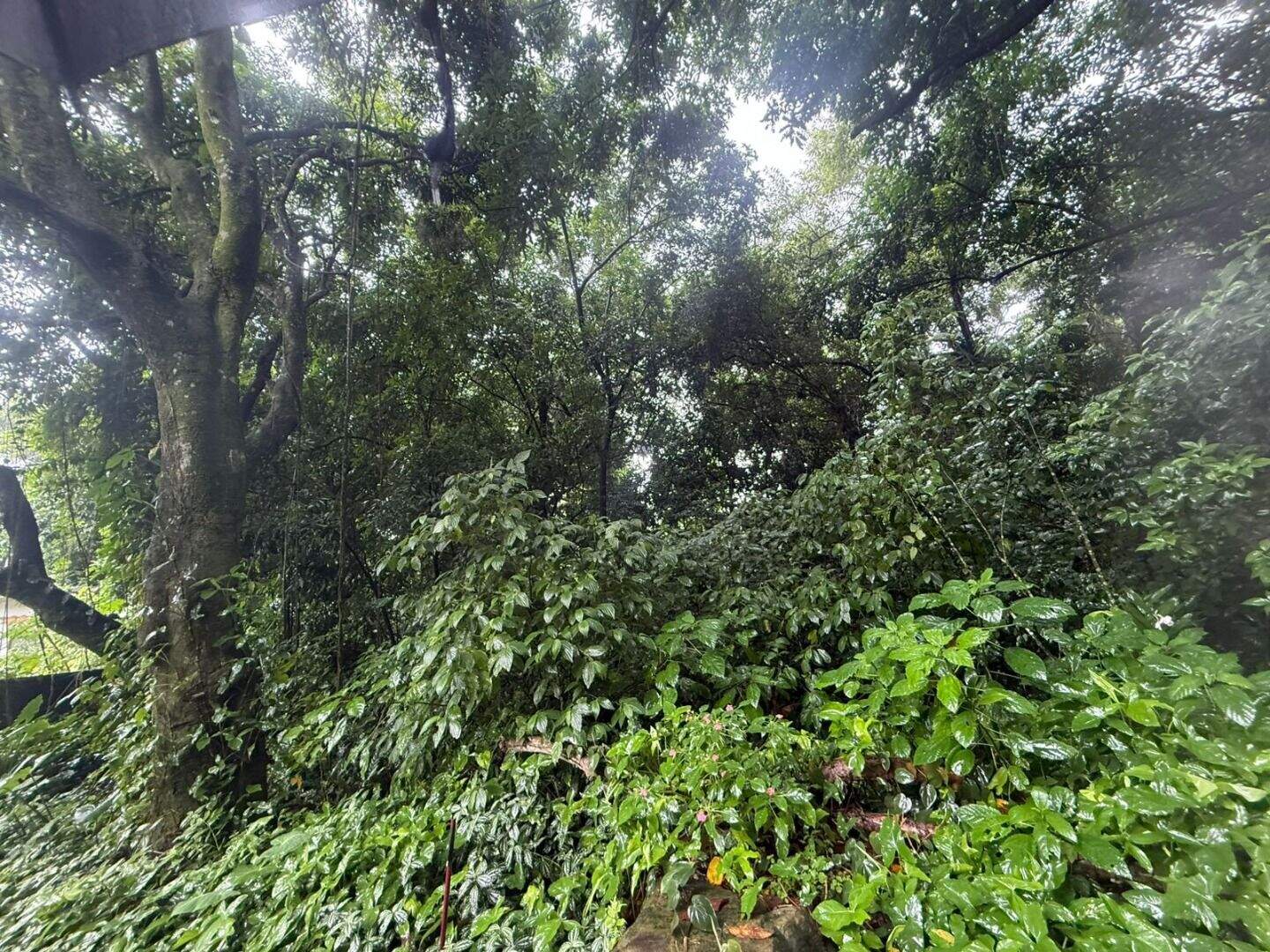 Terreno à venda no Canto do Forte: 
