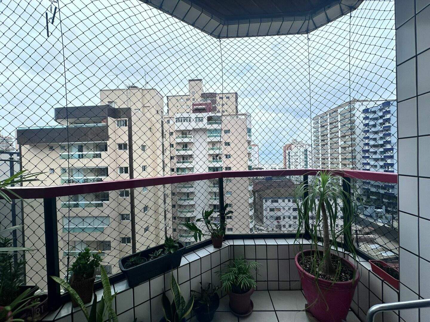 Apartamento à venda no Guilhermina: 