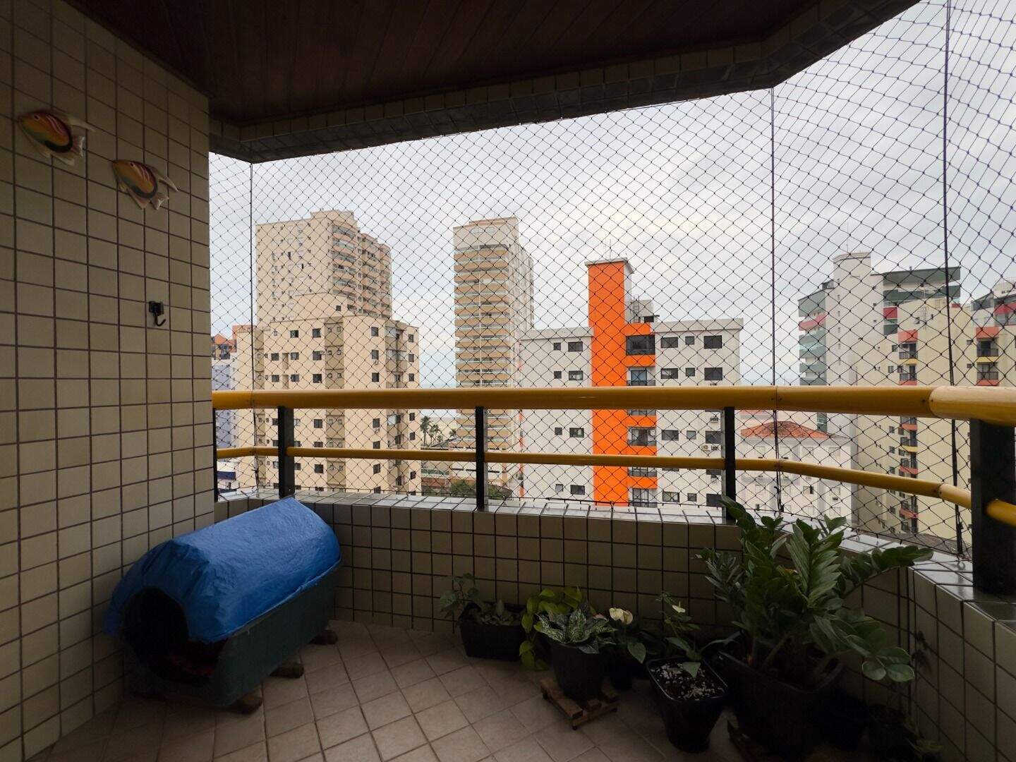 Apartamento à venda no Aviação: 