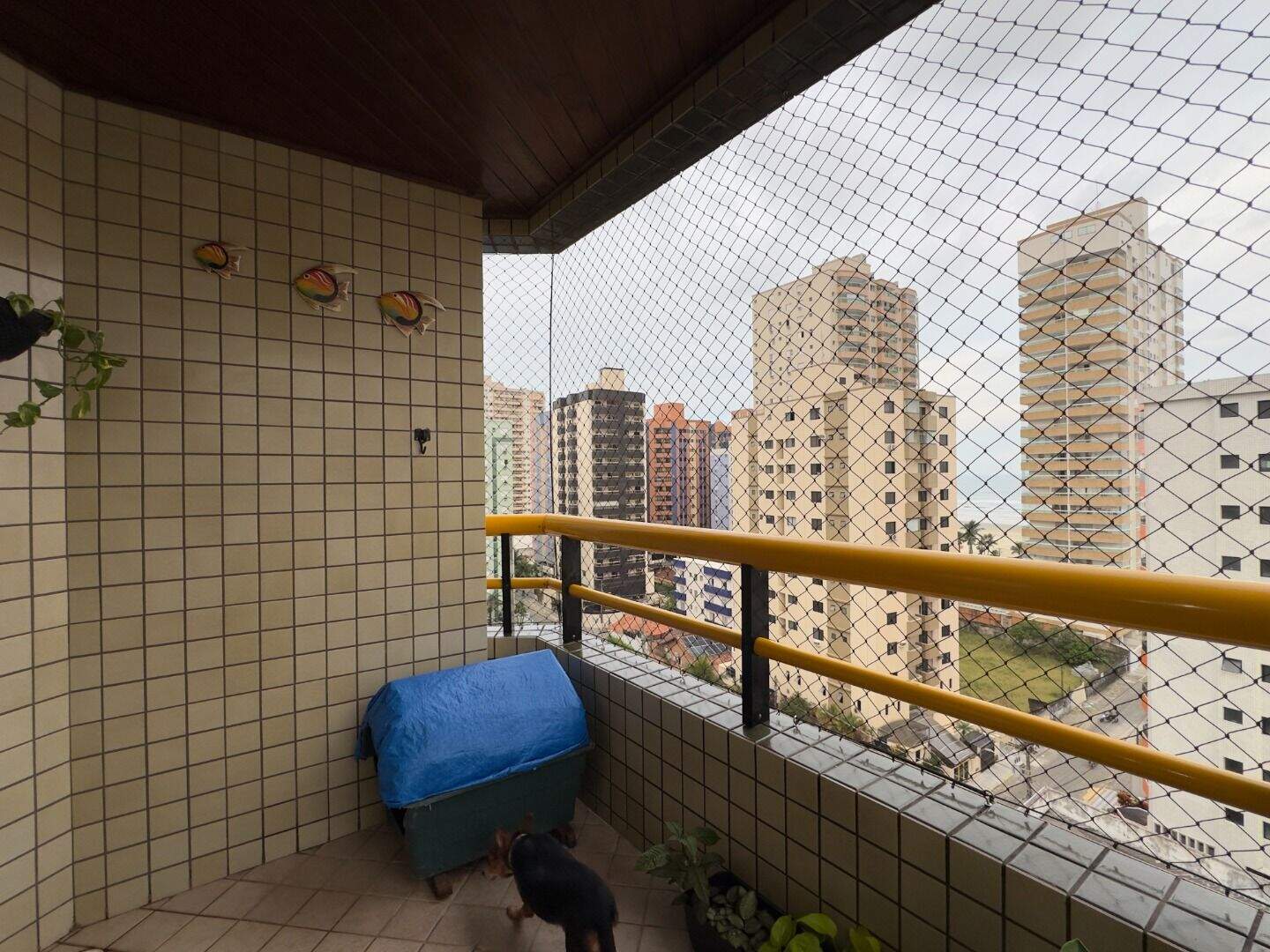 Apartamento à venda no Aviação: 