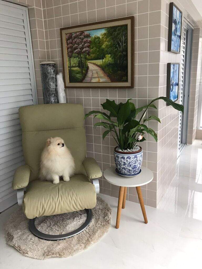 Apartamento à venda no Caiçara: 