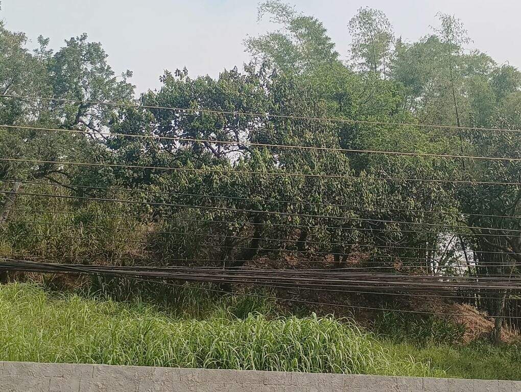 Terreno para à venda no bairro Ferrazópolis, São Bernardo do Campo - Casari Imóveis: 