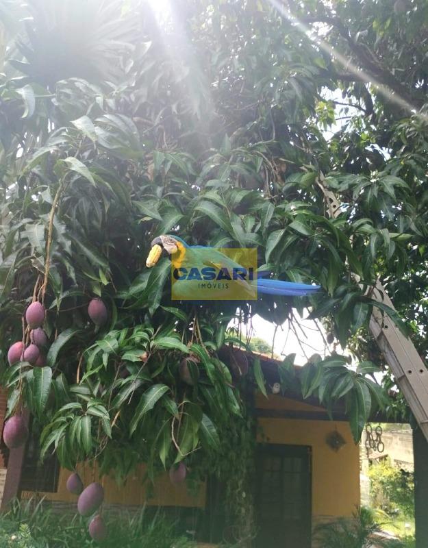 Chácara para à venda no bairro Vitassay, São Bernardo do Campo - Casari Imóveis: 