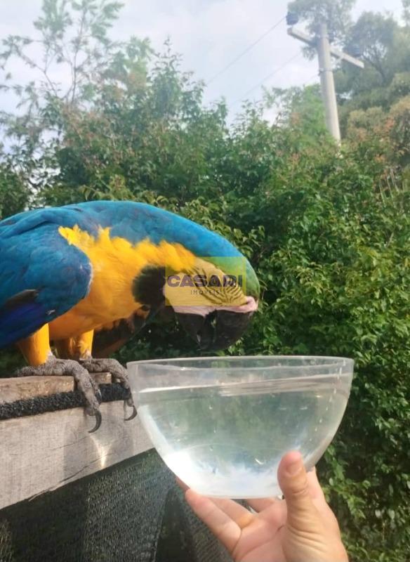 Chácara para à venda no bairro Vitassay, São Bernardo do Campo - Casari Imóveis: 