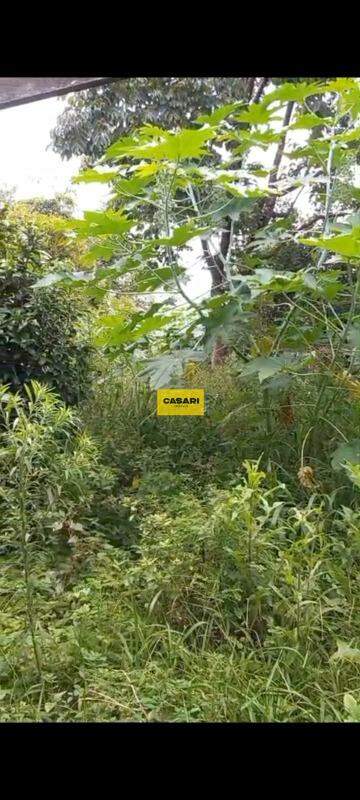 Terreno para à venda no bairro Taboão, São Bernardo do Campo - Casari Imóveis: 