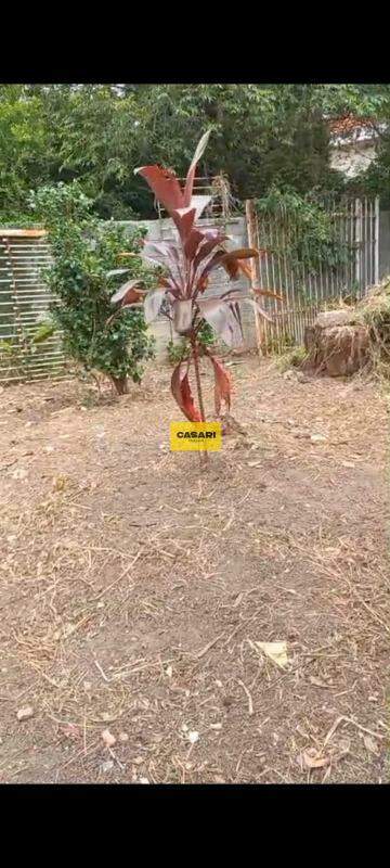 Terreno para à venda no bairro Taboão, São Bernardo do Campo - Casari Imóveis: 