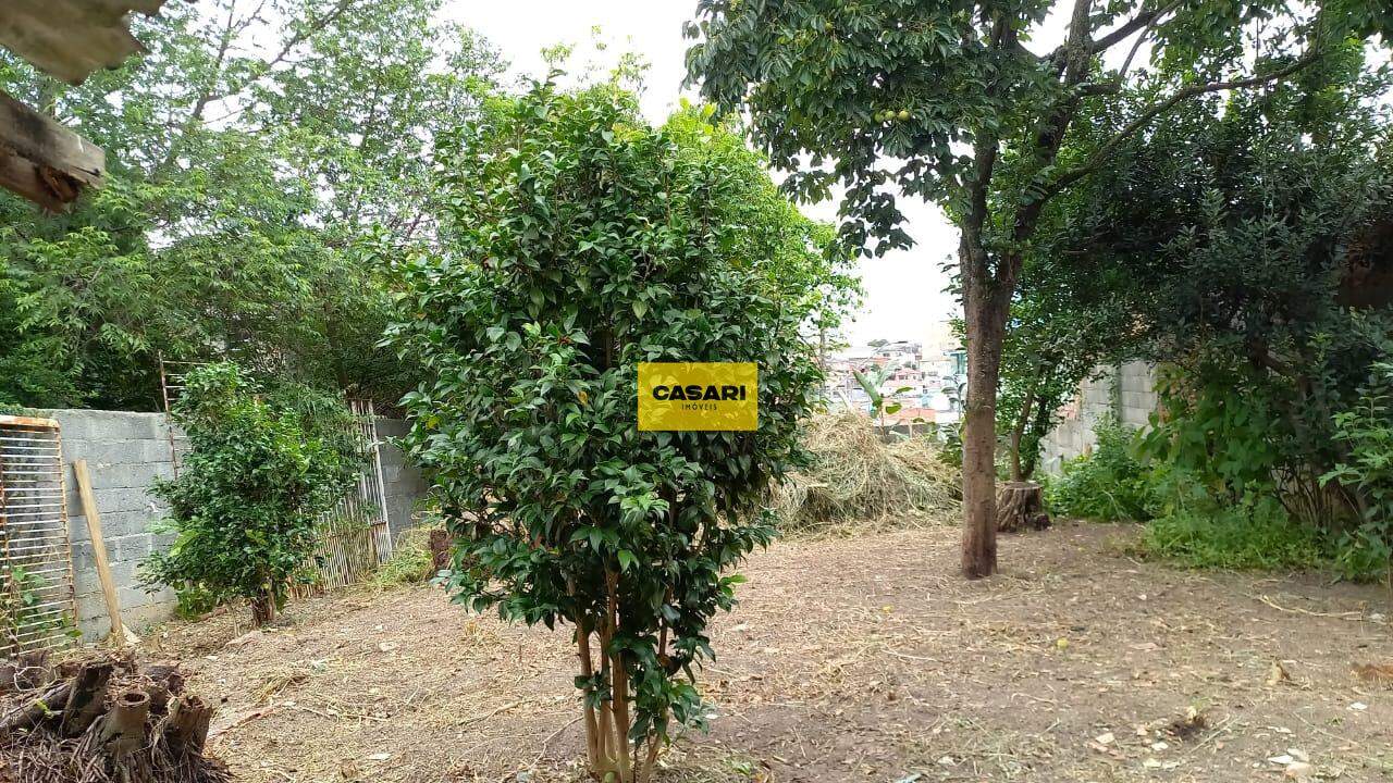 Terreno para à venda no bairro Taboão, São Bernardo do Campo - Casari Imóveis: 