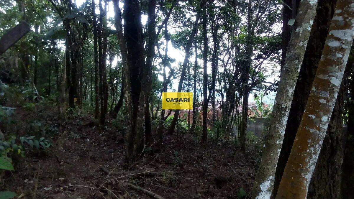 Terreno para à venda no bairro Varginha, São Bernardo do Campo - Casari Imóveis: 