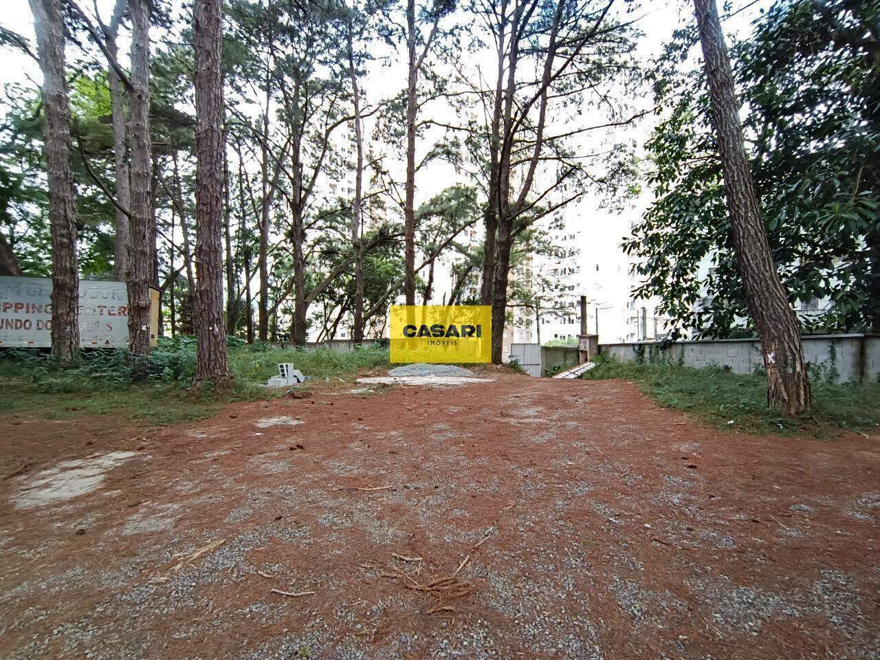 Terreno para para aluguel no bairro Ferrazópolis, São Bernardo do Campo - Casari Imóveis: 