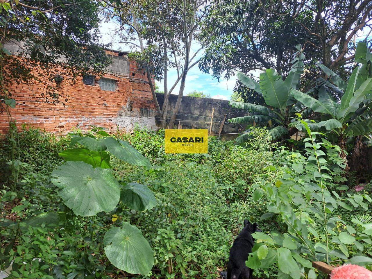 Terreno para à venda no bairro Baeta Neves, São Bernardo do Campo - Casari Imóveis: 
