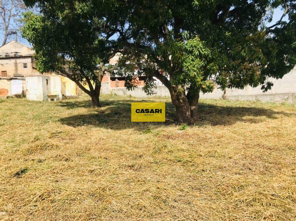 Terreno para para aluguel no bairro Paulicéia, São Bernardo do Campo - Casari Imóveis: 