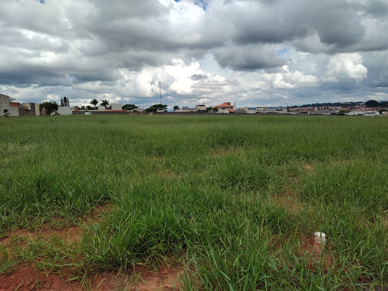 Lote em condomínio à venda no Parque da Imprensa: 