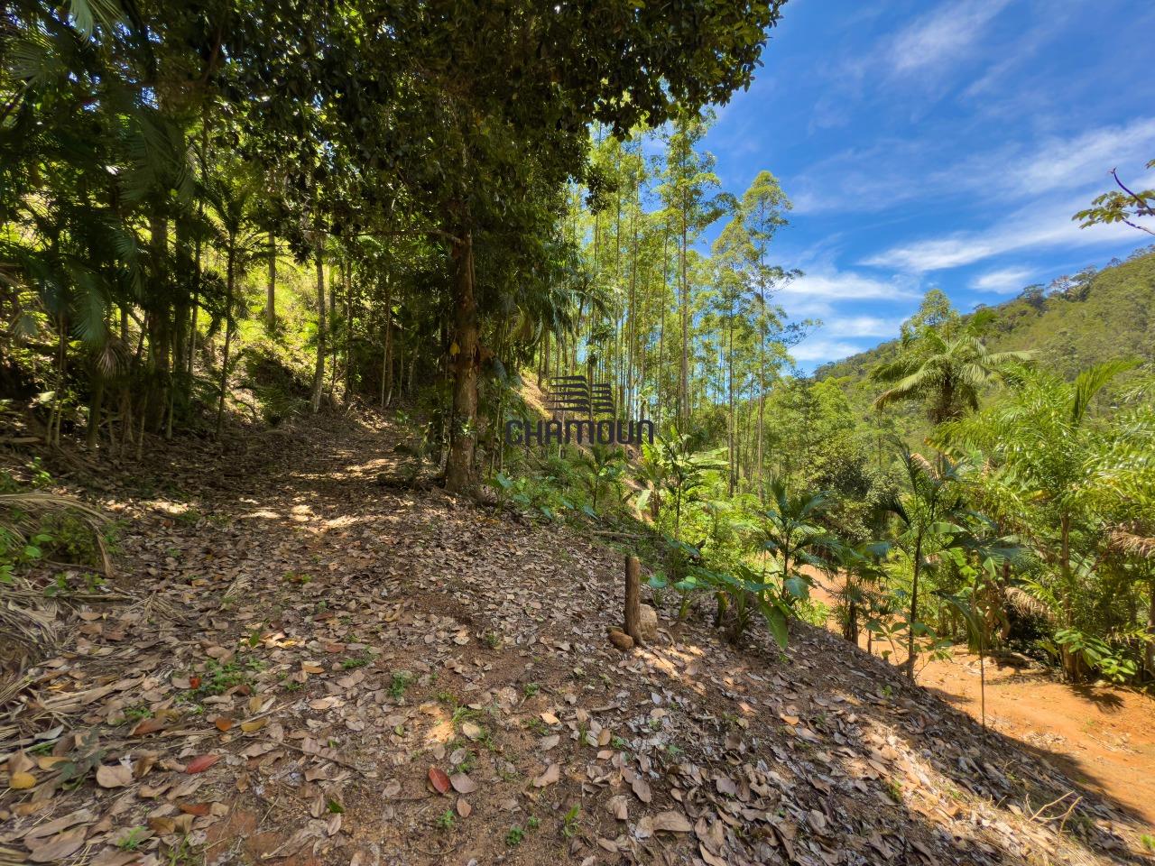 Área Rural à venda no Boa Esperança: Terreno em Zona Rural - Buenos Aires, Guarapari, ES