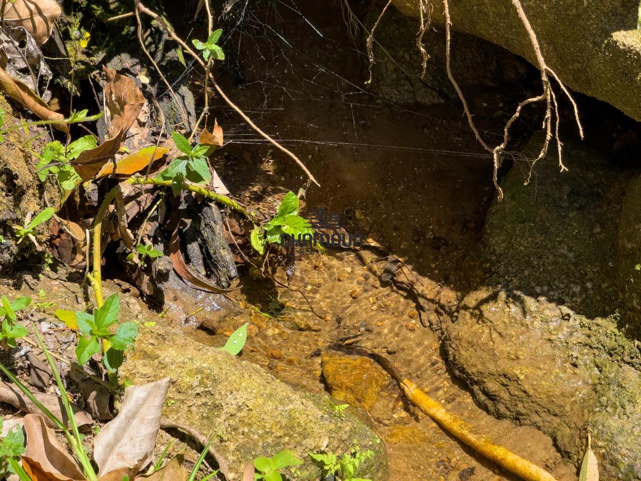 Área Rural à venda no Boa Esperança: Terreno em Zona Rural - Buenos Aires, Guarapari, ES