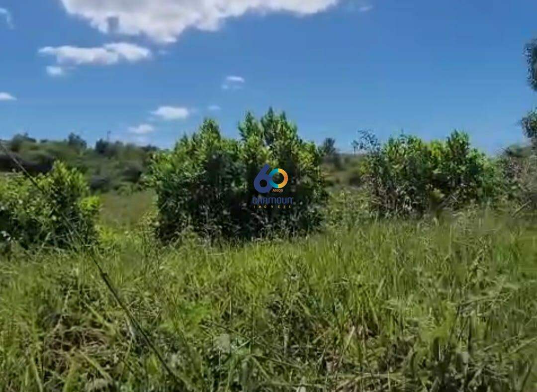 Lote à venda no Meaipe: Lote à venda em Meaípe.