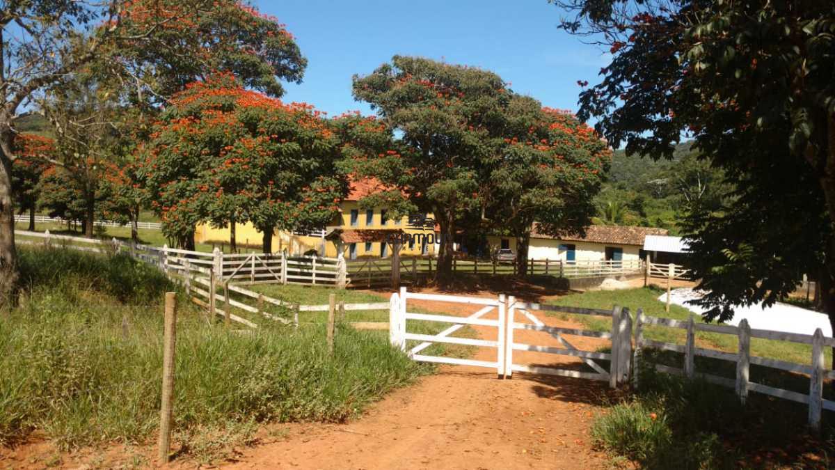 Fazenda à venda no Centro: 