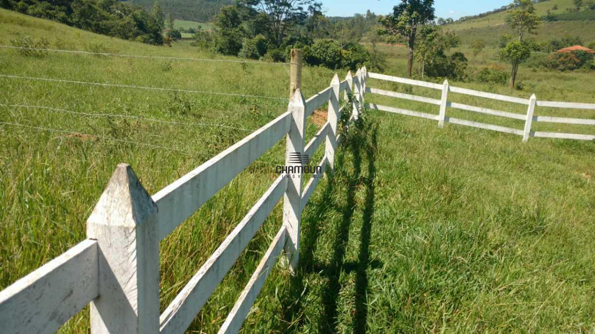 Fazenda à venda no Centro: 