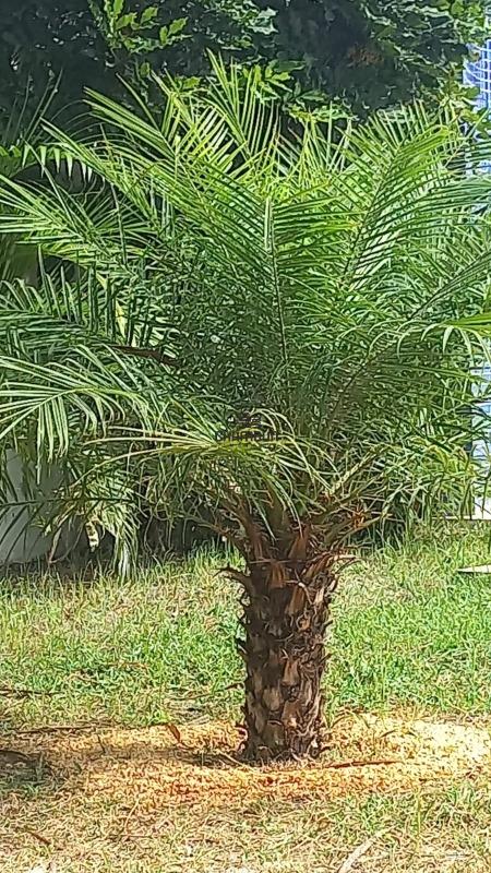 Casa à venda no Nova Ponta da Fruta: DUPLEX EXCELENTE LOCALIZAÇÃO: VALOR - 2.000.000,00 - NOVA PONTA DA FRUTA - VILA VELHA - ES.