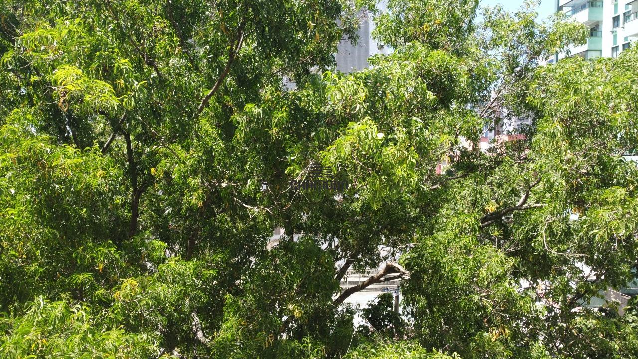 Apartamento à venda no Itapuã:  2 quartos, 1 suíte, 1 vaga, Itapuã - Vila Velha/ES