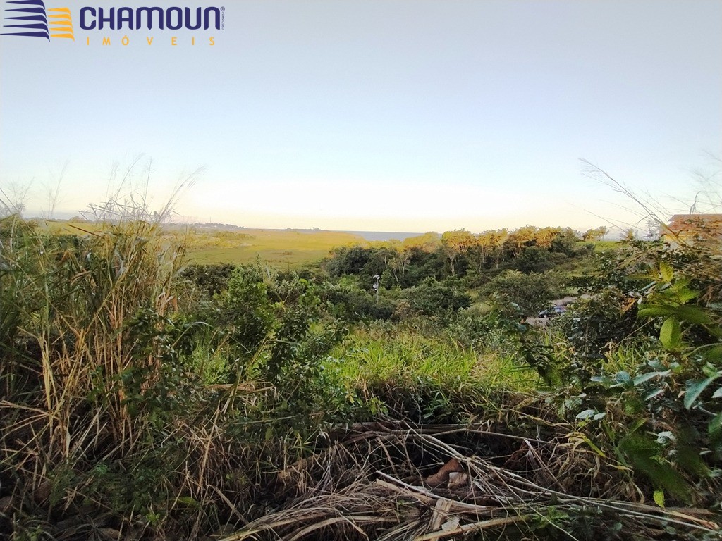 Terreno à venda no Meaipe: Foto 16