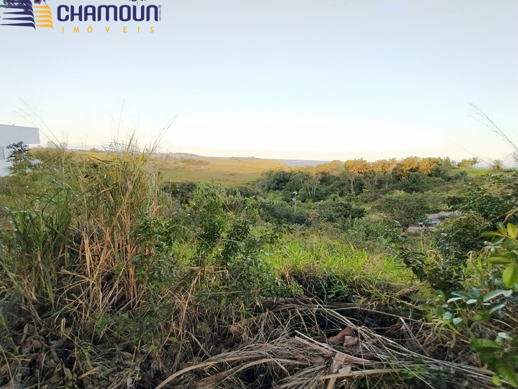 Terreno à venda no Meaipe: Foto 17