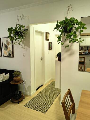 Apartamento à venda no Gonzaga: 