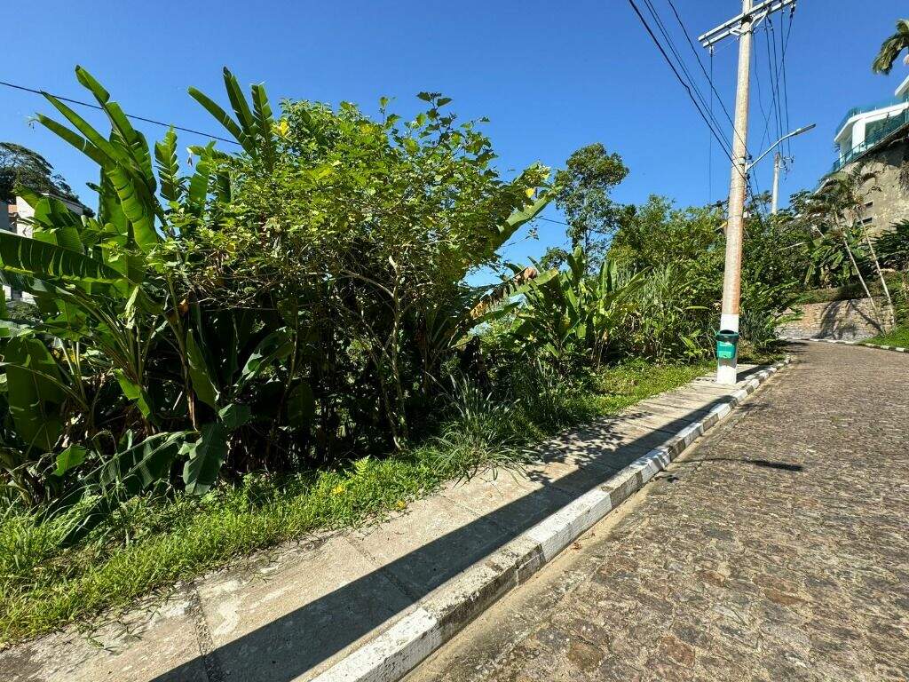 Terreno à venda no Morro Santa Terezinha: 