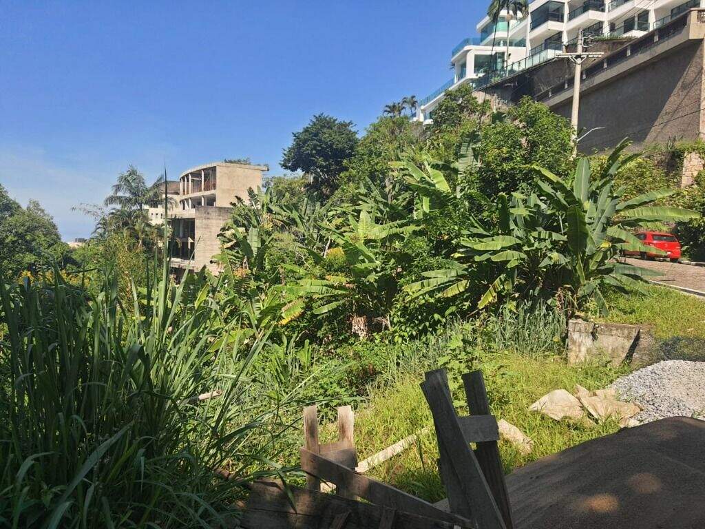 Terreno à venda no Morro Santa Terezinha: 