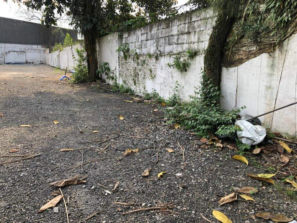Terreno à venda no Macuco: 