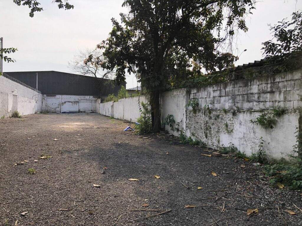 Terreno à venda no Macuco: 