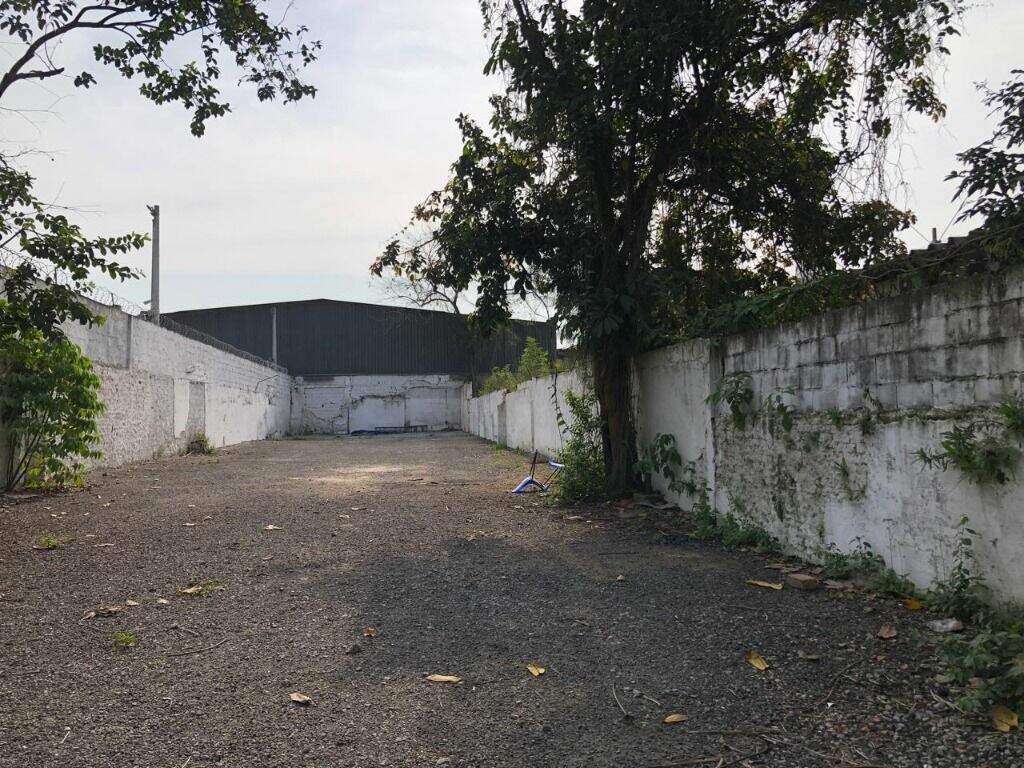 Terreno à venda no Macuco: 