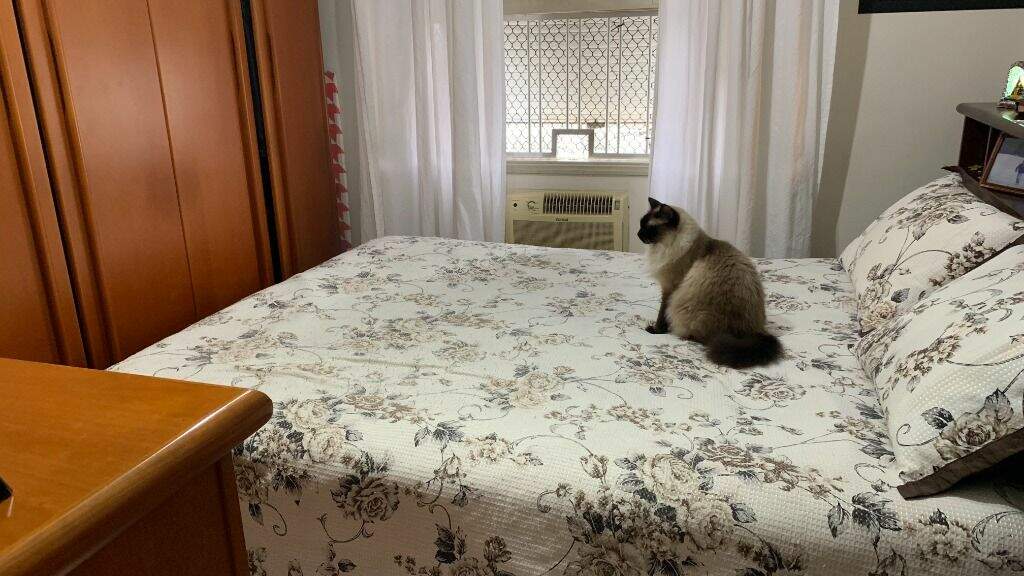 Apartamento à venda no Macuco: 