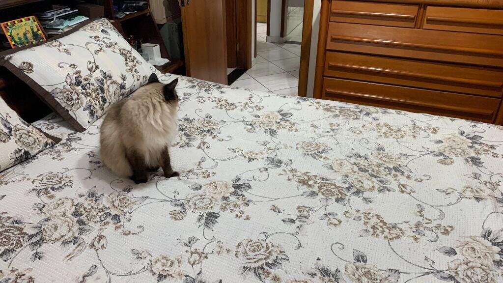 Apartamento à venda no Macuco: 