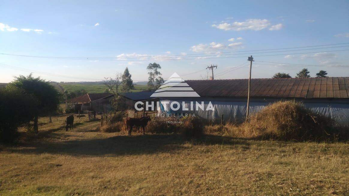 Sítio à venda no Jacutinga: 