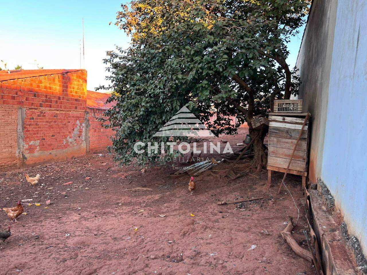 Terreno à venda no Vila Camarão: 