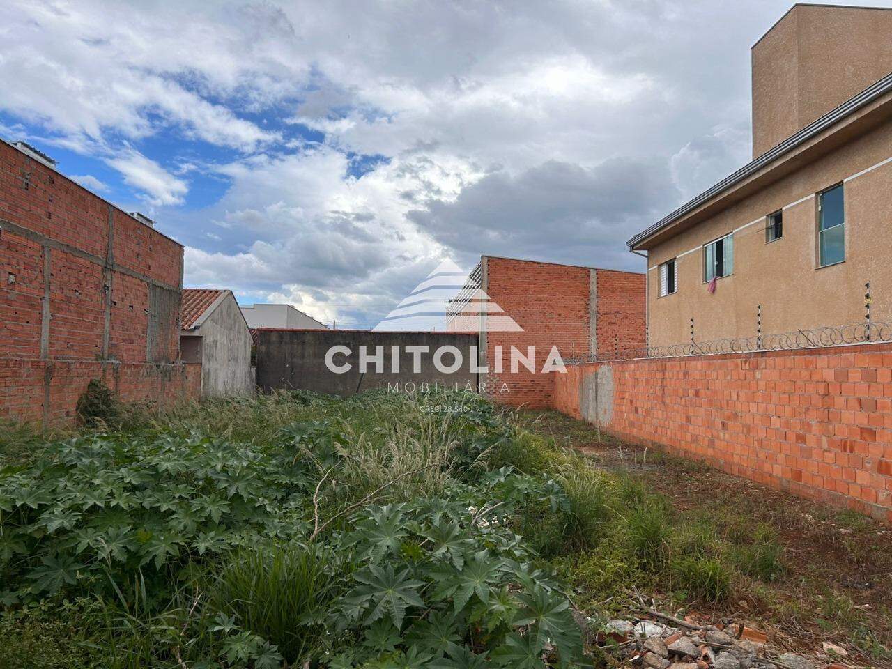 Terreno à venda no Vila Sonia: 