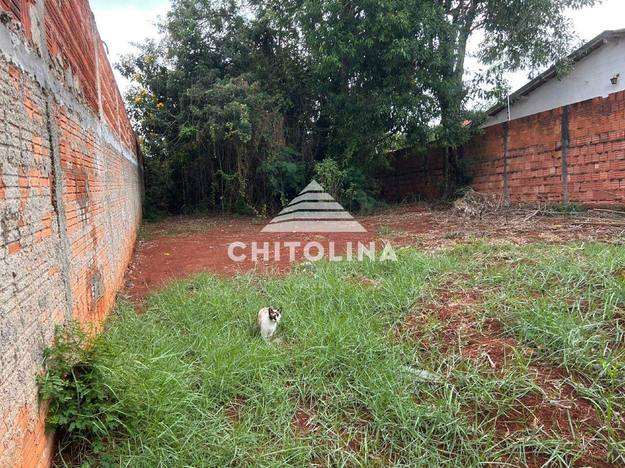 Terreno à venda no Vila Piedade: 