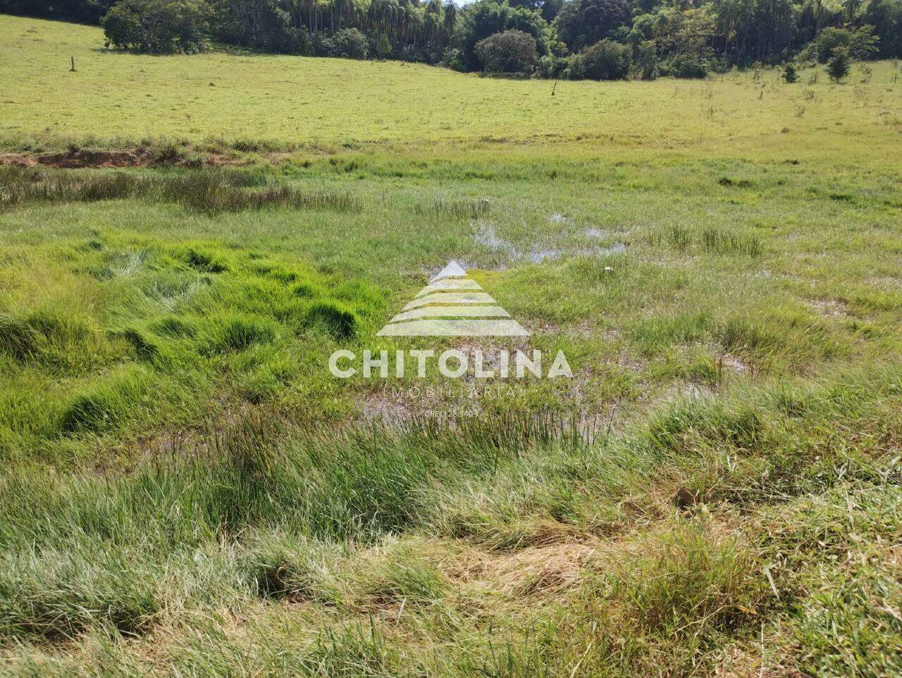 Terreno à venda no Jardim São Camilo: 