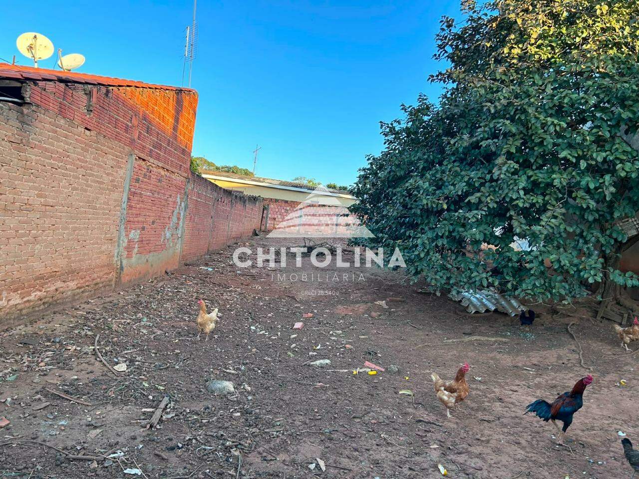 Terreno à venda no Vila Camarão: 