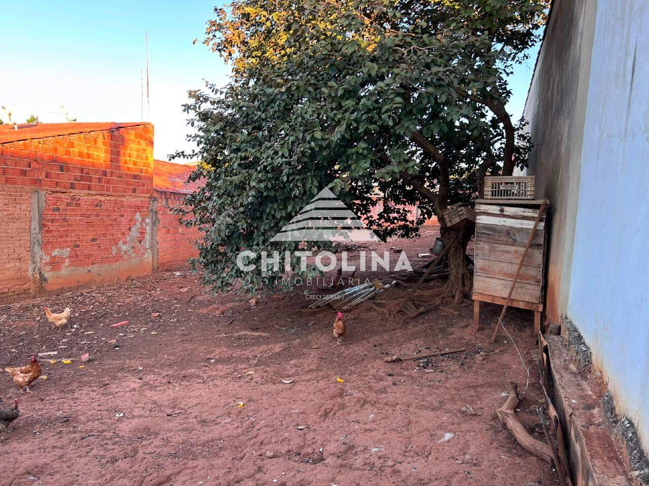 Terreno à venda no Vila Camarão: 