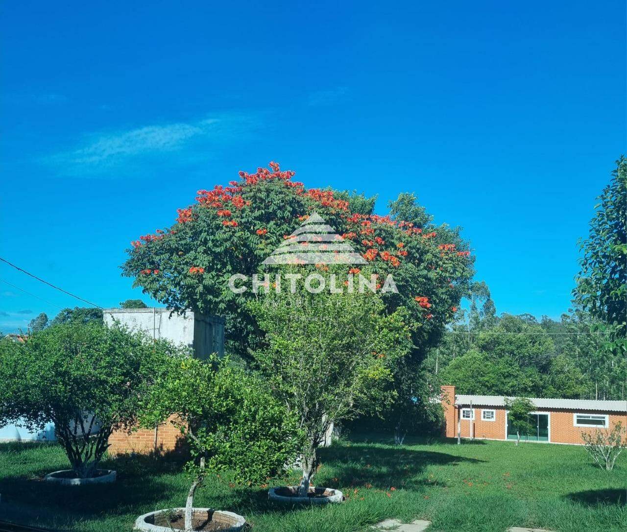 Chácara à venda no Vila Messias: 