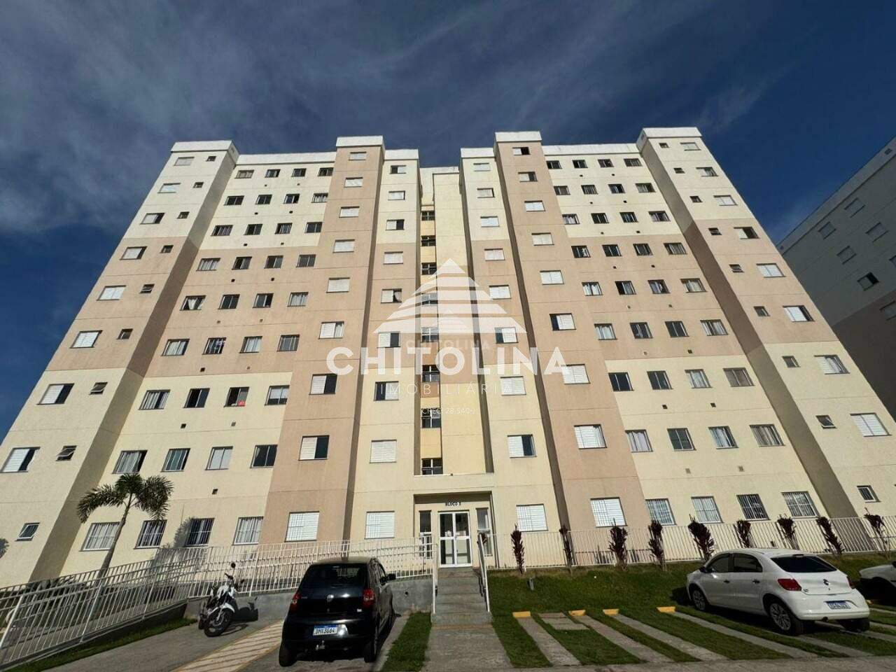 Apartamento para aluguel no Residencial Cambuí: 