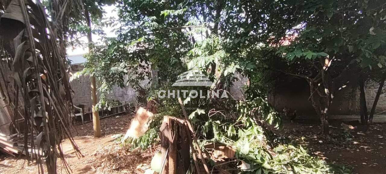 Terreno à venda no Vila Rio Branco: 